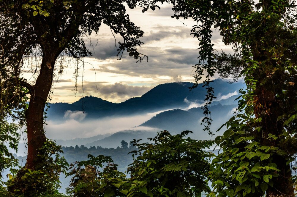 Misty hills at sunset framed by trees in Guatemala, Central America