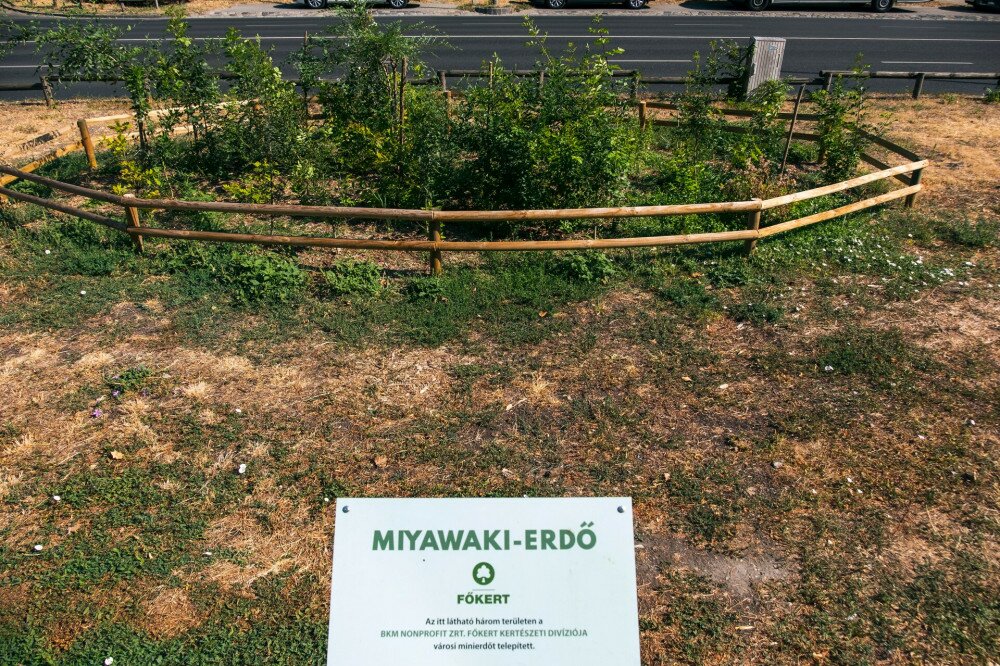 Miyawaki-erdő (Andor utca)