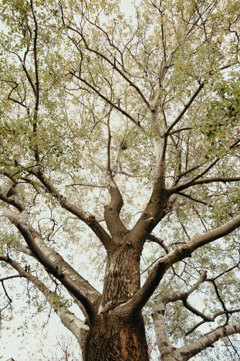 mozinet_séta_251110@nempublikus_foto-20 Launching Gagarin Kft Freakin' Disco