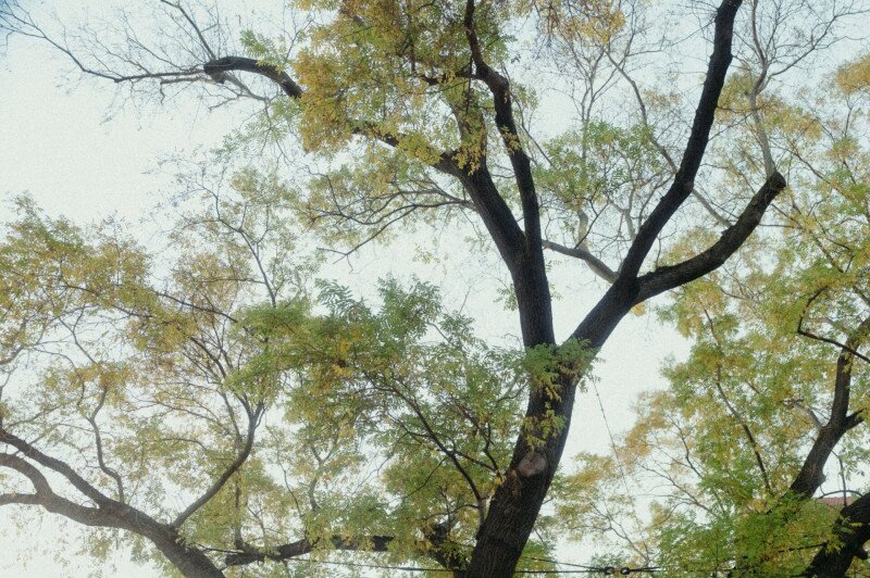 mozinet_séta_251110@nempublikus_foto-27 Launching Gagarin Kft Freakin' Disco