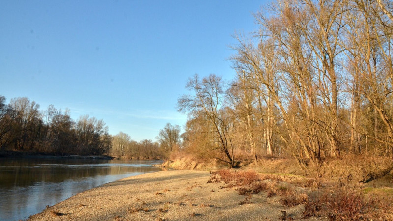 mura-drava-duna-bioszfera-rezervatum-foto-bfnpi-5a12919e-1677908