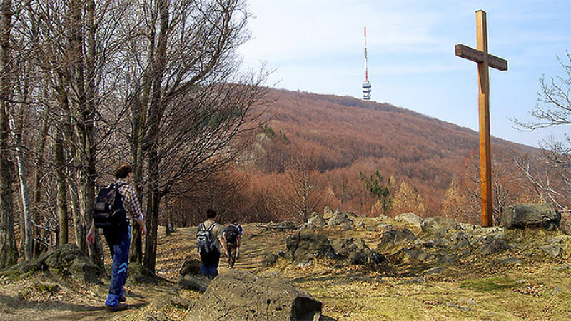 nagygabor-1.jpg