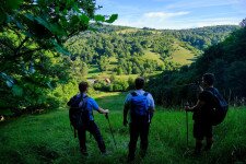 Nagy kör a Mecsek szívében