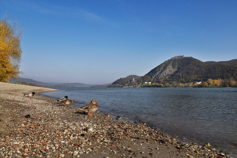 Nagymaros, Dunapart