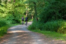 Nagyszabású erdei kerékpárút-felújítás a Pilisben és a Visegrádi-hegységben 