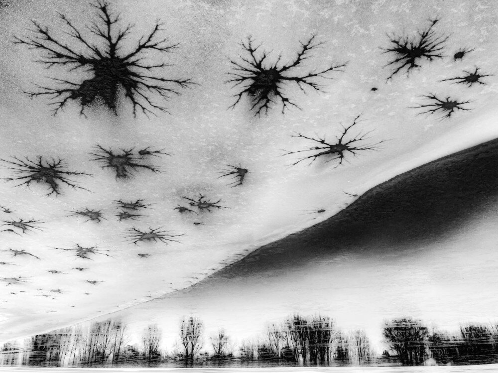 Nature art Winner frozen-Trees-and-stars-Csaba-Daroczi