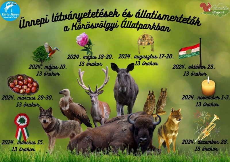 nnepi-latvanyetetesek-es-allatismertetok-a-korosvolgyi-allatparkban-2
