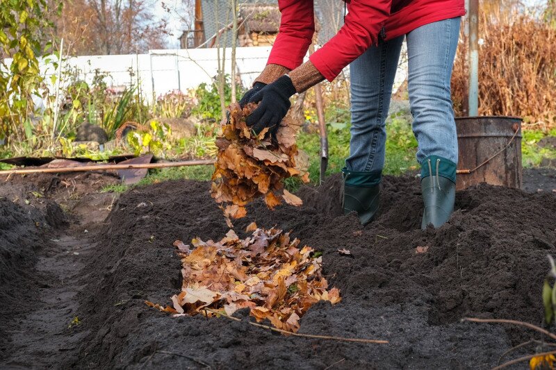 Nő avart szór az ágyásba