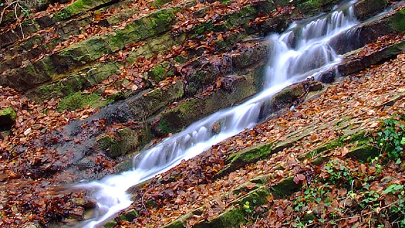 nov-25_017-3.jpg