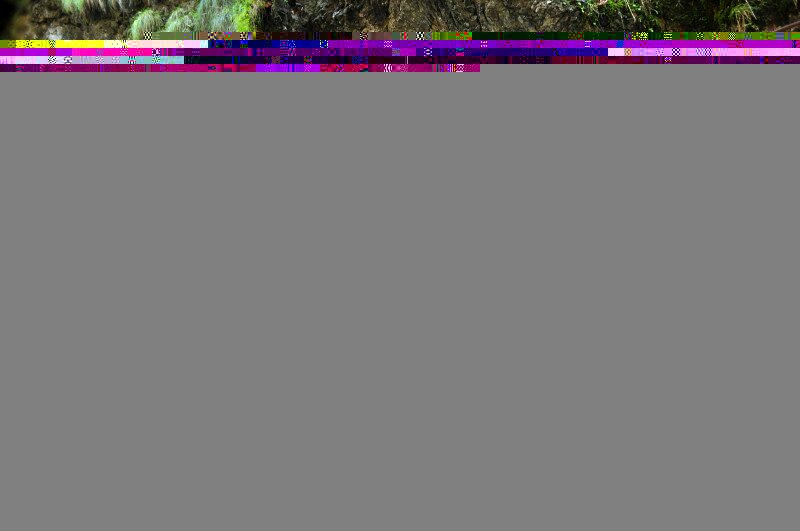 ok_dsc_2248_j.jpg