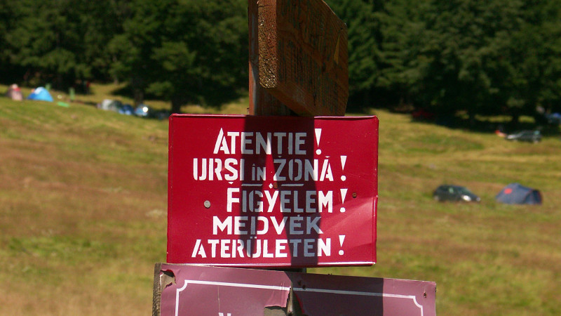 ok_ezt_mind_szigoruan_kell_venni.jpg