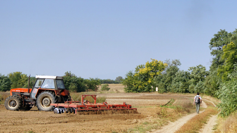 okt-1_031-2(1).jpg