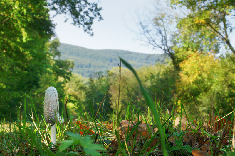 okt-5_020-2.jpg