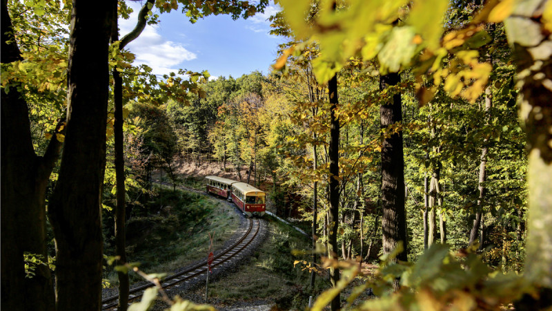 okt-7_127-hd-2v.jpg