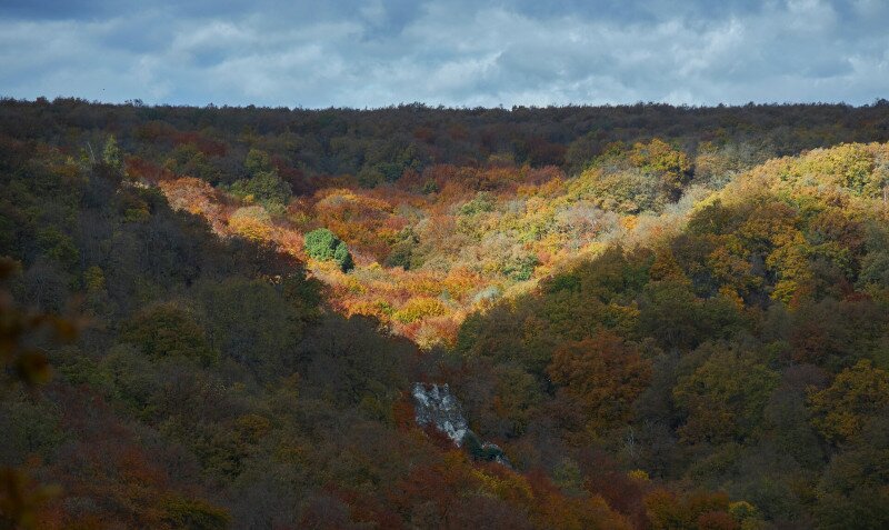 Ősz a vértesben, cserszörmörcével
