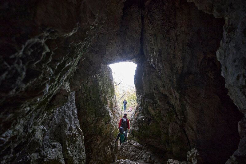Ősz a vértesben, cserszörmörcével
