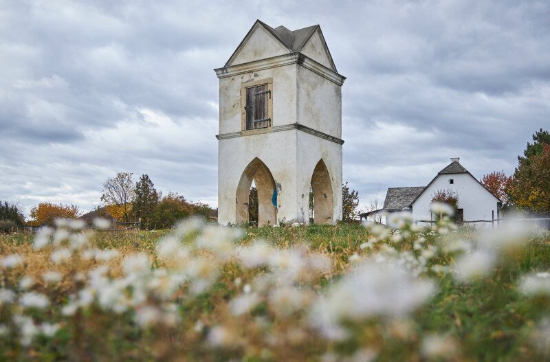 Ősz a vértesben, cserszörmörcével