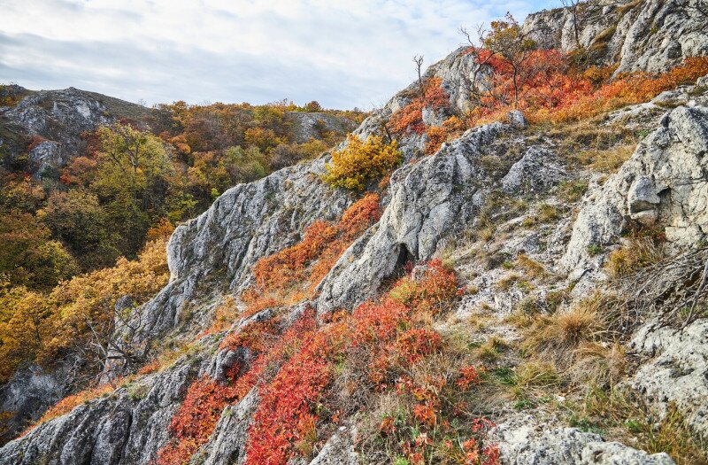 Ősz a vértesben, cserszörmörcével
