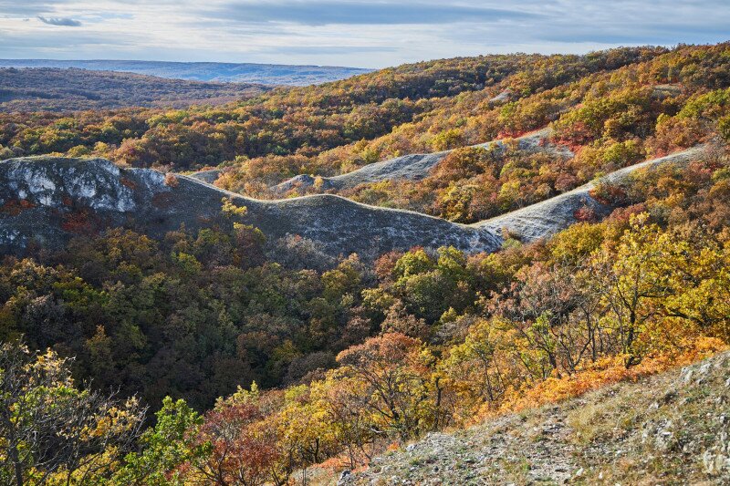 Ősz a vértesben, cserszörmörcével