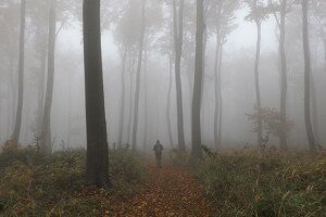 Őszi ködfátyol a Pilisben
