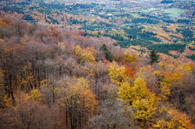 Őszi túra Madaras (Vtáčnik) csúcs környékén 