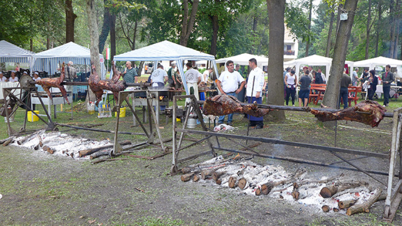 p1000362.jpg