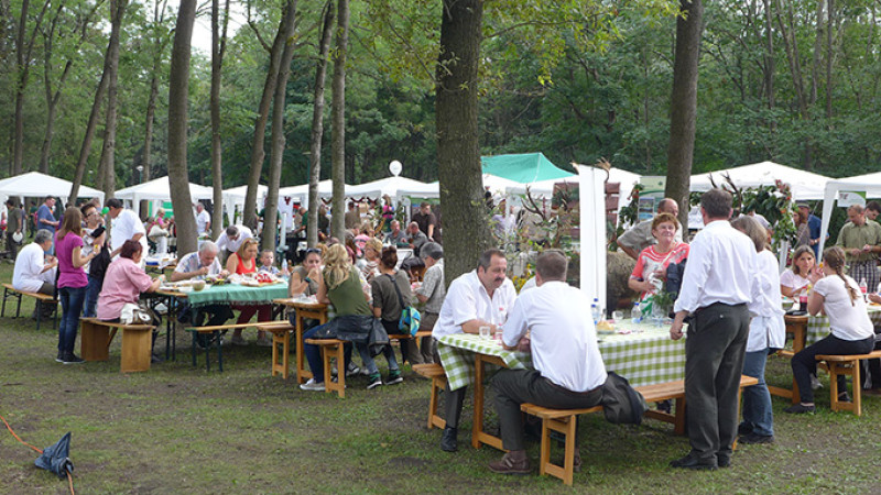 p1000431-2kk.jpg