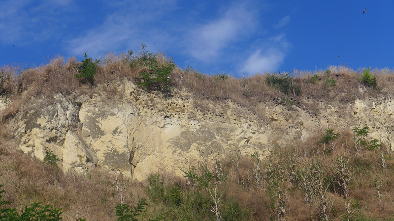 p1040842.jpg