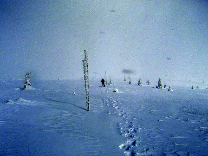 p1114408.jpg