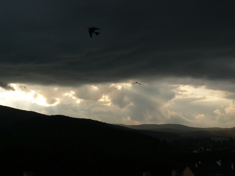 p1160322.jpg