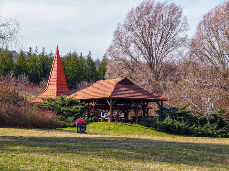 P3131496-erdei pihenő-FOTO-Somo