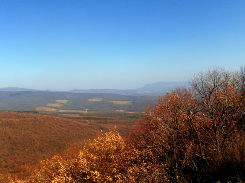 p3163602.jpg