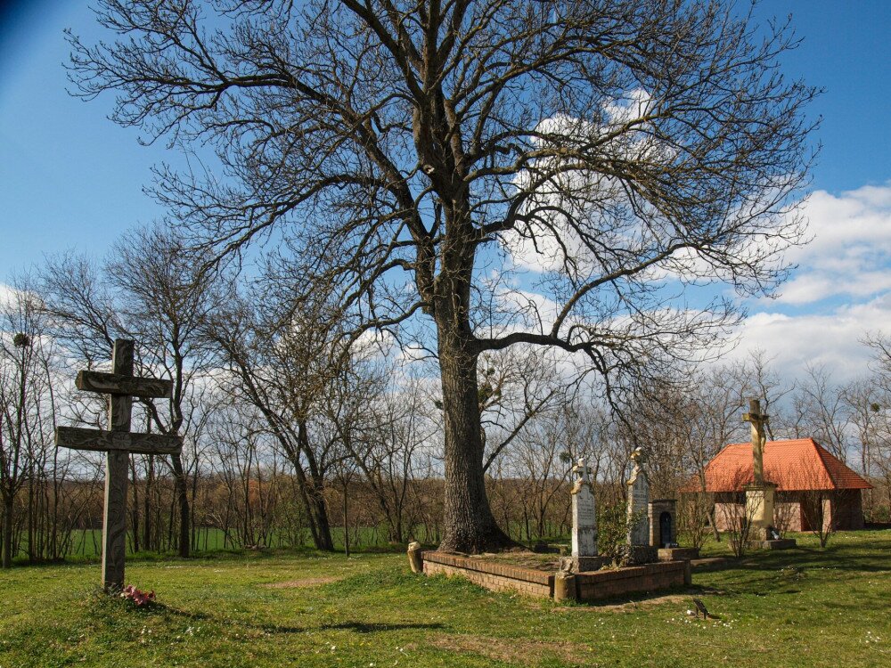 P3218639_Fehér Mária-templom kertje sírkővel kereszttel_Buzsák_FOTO_JA 