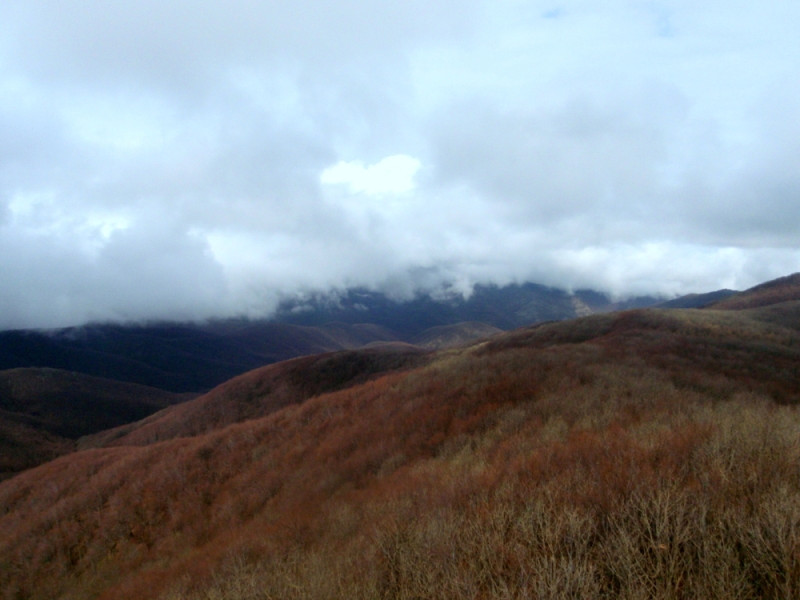 p4063693.jpg