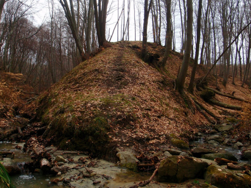 p4074524.jpg
