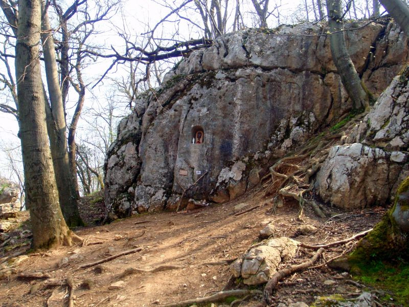 p4204579.jpg