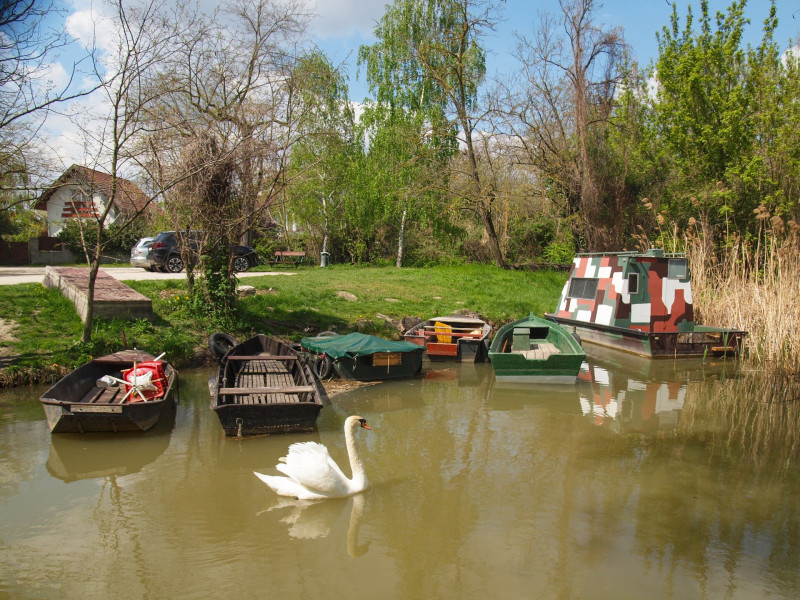 P4208715_Úszóláp tanösvény_északi része_Szigetszentmiklós_FOTO_JA