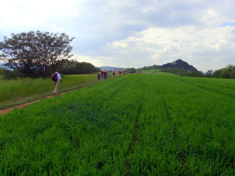p5254591__1_.jpg