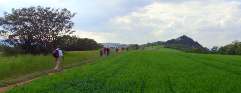 p5254591.jpg