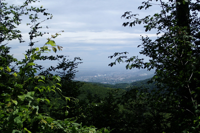 p7141302.jpg