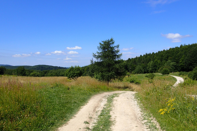 p7141366(2).jpg