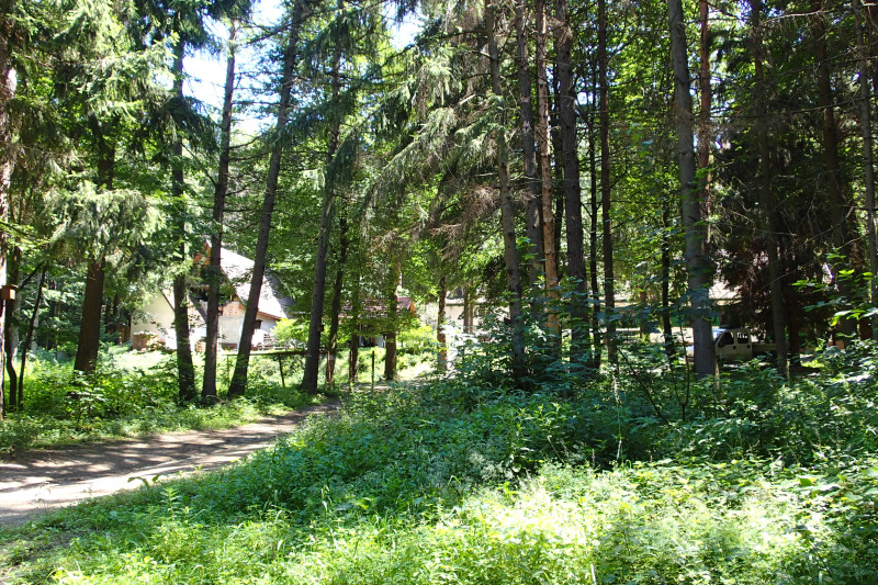 p7141371(1).jpg