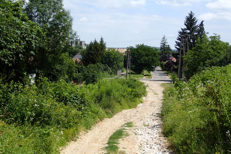 p7141380(1).jpg