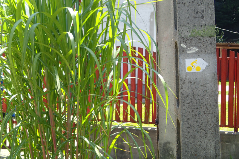 p7141381.jpg