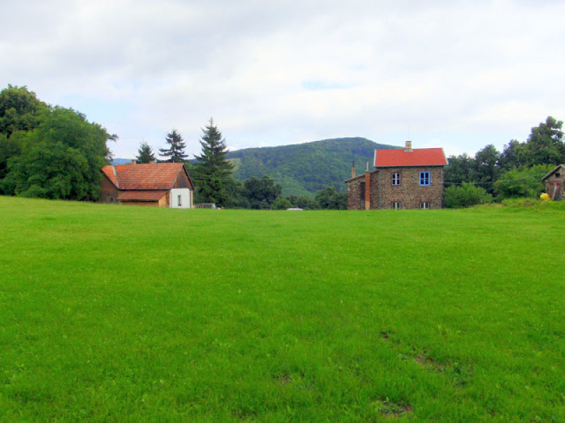 p7303035.jpg
