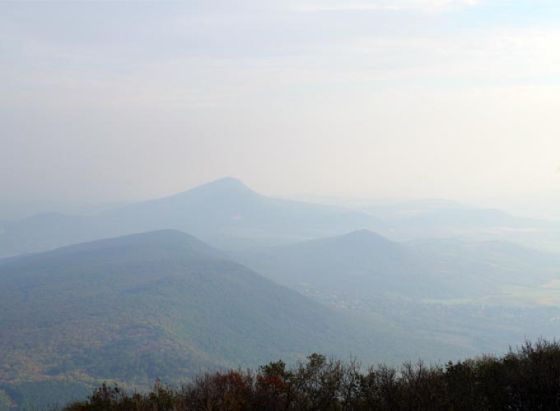 p7.jpg