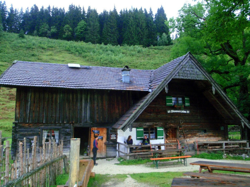 p8163132.jpg