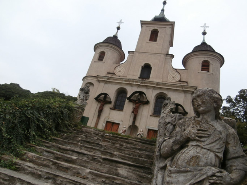 p8200018.jpg