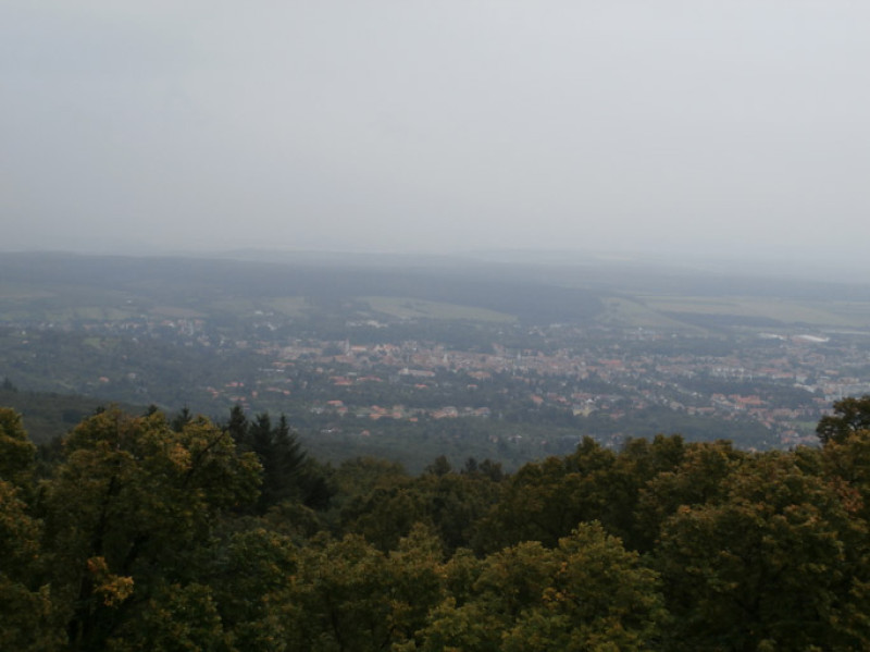p8200030.jpg
