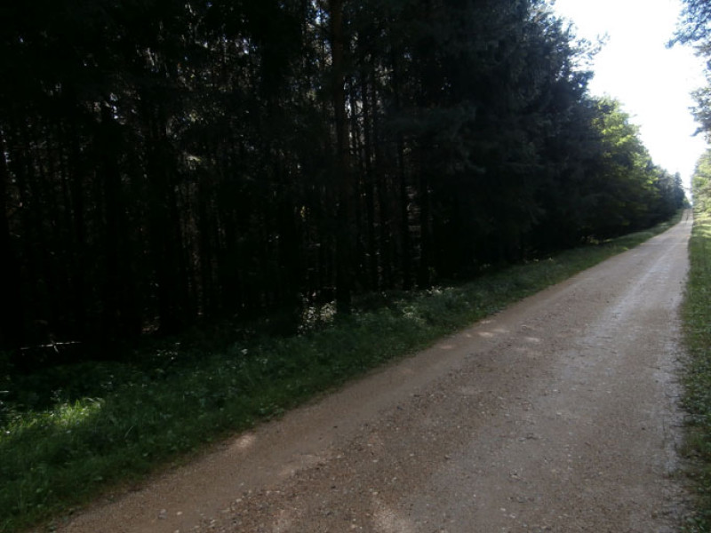 p8210114.jpg